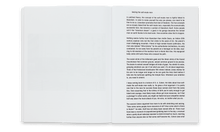 Afbeelding in Gallery-weergave laden, stuk tekst in hors hol, een boek van Fabrice Schneider