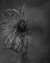 Afbeelding in Gallery-weergave laden, Dirk Braeckman. Echtzeit