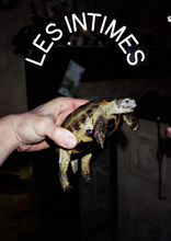 Afbeelding in Gallery-weergave laden, foto van een schildpad uit Vincen Beeckman - Pong Ping