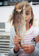 Afbeelding in Gallery-weergave laden, foto uit Pong Ping van Vincen Beeckman
