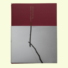 Afbeelding in Gallery-weergave laden, Wendy Marijnissen - Always The Guest