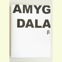 Afbeelding in Gallery-weergave laden, Jeroen De Wandel - Amygdala Bèta