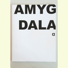 Afbeelding in Gallery-weergave laden, Jeroen De Wandel - Amygdala Alpha