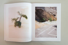 Afbeelding in Gallery-weergave laden, Jeroen De Wandel - Amygdala Alpha