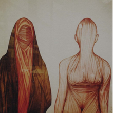 Afbeelding in Gallery-weergave laden, Wendy Marijnissen - Always The Guest