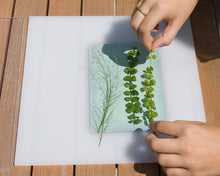 Afbeelding in Gallery-weergave laden, DIY - Sunography