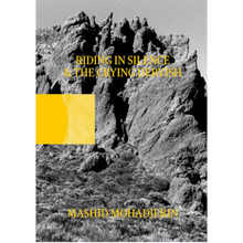 Afbeelding in Gallery-weergave laden, Mashid Mohadjerin - Riding in Silence &amp; The Crying Dervish