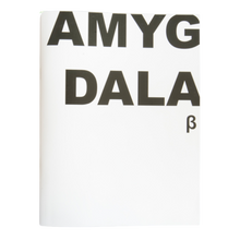 Afbeelding in Gallery-weergave laden, Jeroen De Wandel - Amygdala Bèta