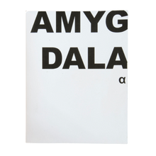 Afbeelding in Gallery-weergave laden, Jeroen De Wandel - Amygdala Alpha