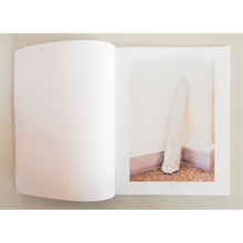 Afbeelding in Gallery-weergave laden, Jeroen De Wandel - Amygdala Alpha