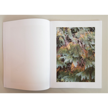 Afbeelding in Gallery-weergave laden, Jeroen De Wandel - Amygdala Alpha