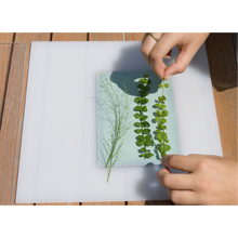 Afbeelding in Gallery-weergave laden, DIY Sunography Kit - Cyanotype Sunography | Maak Je Eigen Blauwe Afdrukken FOMU