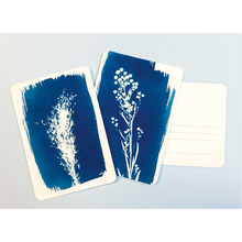Afbeelding in Gallery-weergave laden, DIY Cyanotype kit postcards
