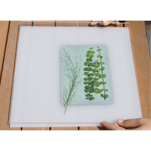 Afbeelding in Gallery-weergave laden, DIY Sunography Kit - Cyanotype Sunography | Maak Je Eigen Blauwe Afdrukken FOMU