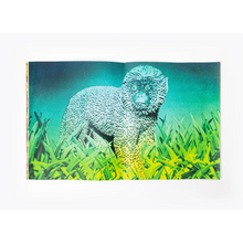 Afbeelding in Gallery-weergave laden, Josephina van de Water - Cloud Cuckoo Land