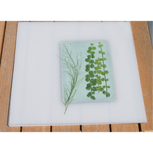 Afbeelding in Gallery-weergave laden, DIY Sunography Kit - Cyanotype Sunography | Maak Je Eigen Blauwe Afdrukken FOMU