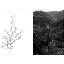 Afbeelding in Gallery-weergave laden, Mashid Mohadjerin - Riding in Silence &amp; The Crying Dervish
