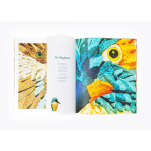 Afbeelding in Gallery-weergave laden, Josephina van de Water - Cloud Cuckoo Land