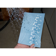 Afbeelding in Gallery-weergave laden, DIY Sunography Kit - Cyanotype Sunography | Maak Je Eigen Blauwe Afdrukken FOMU