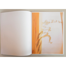 Afbeelding in Gallery-weergave laden, Jeroen De Wandel - Amygdala Alpha