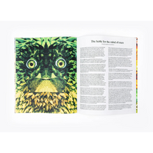 Afbeelding in Gallery-weergave laden, Josephina van de Water - Cloud Cuckoo Land