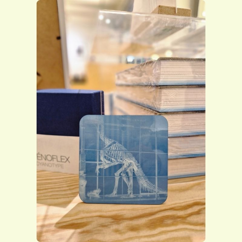 onderzetter met Dinosaurus uit de FOMU collectie expo Early Gaze - Ongeziene fotografie uit de 19e eeuw