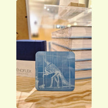 Afbeelding in Gallery-weergave laden, onderzetter met Dinosaurus uit de FOMU collectie expo Early Gaze - Ongeziene fotografie uit de 19e eeuw