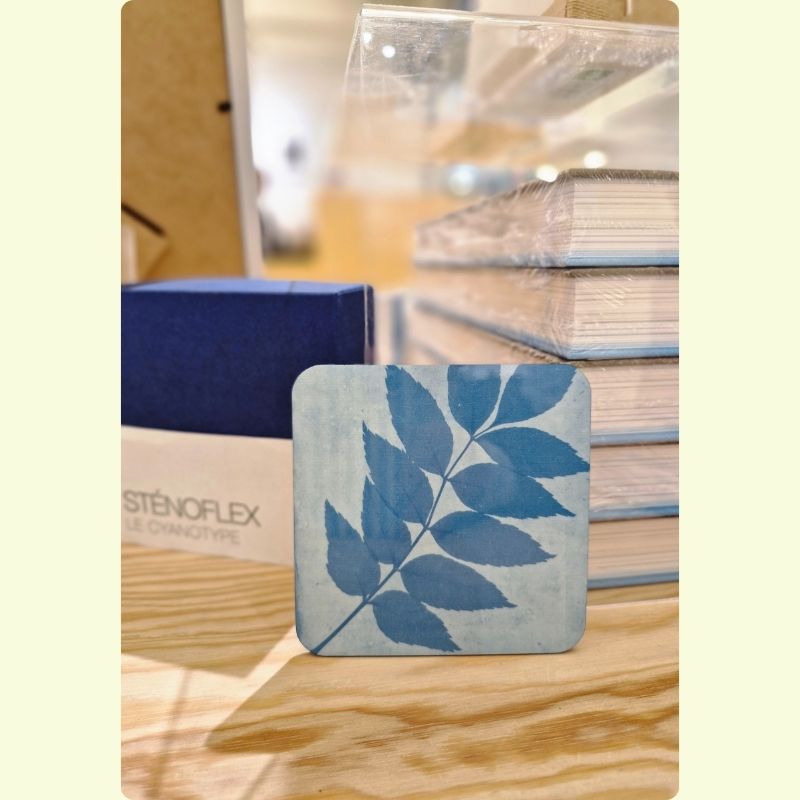 Onderzetter William Henry Fox Talbot Leaves | FOMU Museum Antwerpen | Fotografie Pionier 1840 | Photogenic Drawing