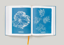 Afbeelding in Gallery-weergave laden, Anna Atkins - Cyanotypes