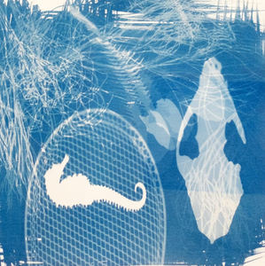 Maxi Kit Cyanotype