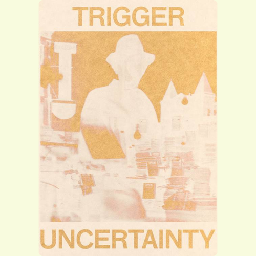 Trigger nr.2: Uncertainty