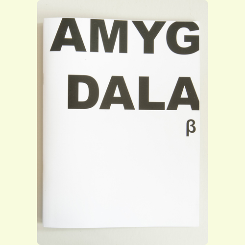 Jeroen De Wandel - Amygdala Bèta