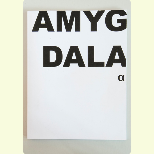 Jeroen De Wandel - Amygdala Alpha