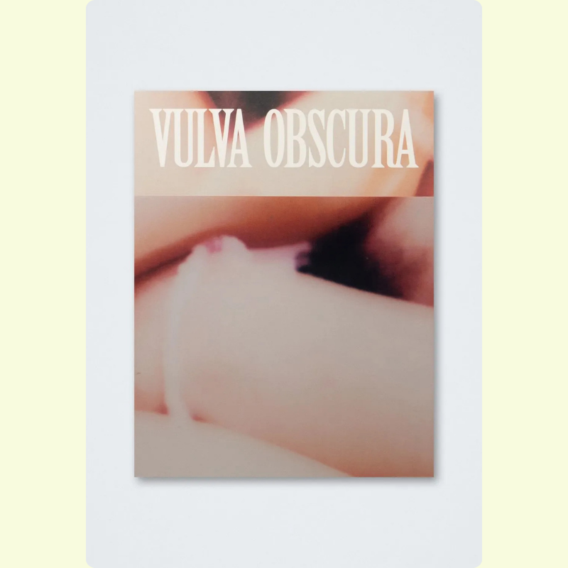 Softcover Vulva Obscura - Hanne Lamon 