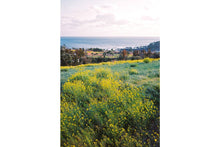 Afbeelding in Gallery-weergave laden, Lomography 400/36 colorneg 3-pack - f436c3