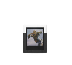 Polaroid - Color instant film for GO - Black Frame Edition VERVALLEN (02/23)